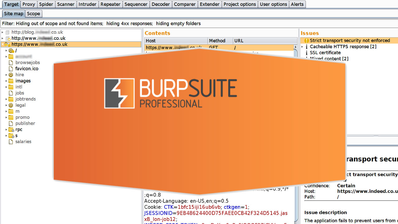 BurpSuite Penetration
